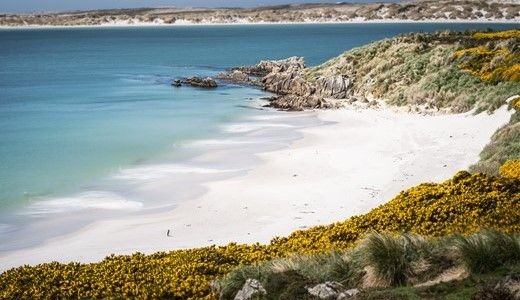 Weißer Strand, Dünen und Meer Antarktis