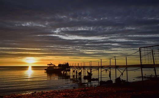 Punta Arenas