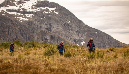 Schneebedeckter Berg Antarktis