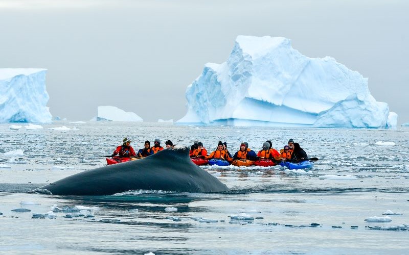 Kayak Antarktis