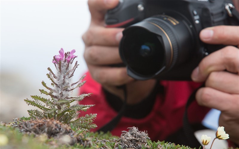 Antarktis Fotografie