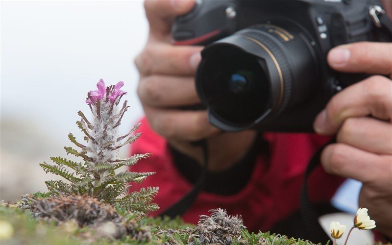 Fotoworkshop Antarktis