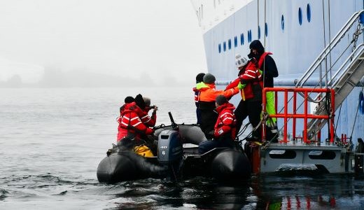 Landgang Falklandinseln