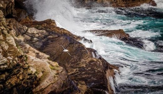 Wildes Meer Westpoint Falklands