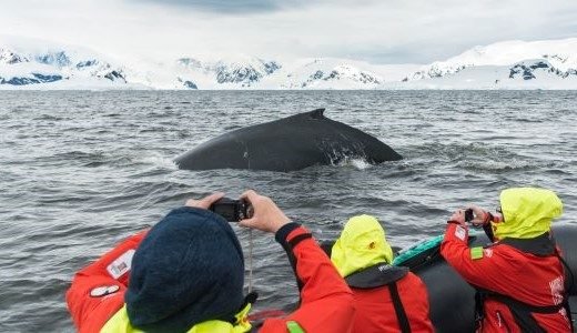 Karsten_Bidstrup_HX_Hurtigruten_Expeditions