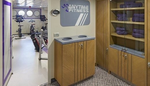Fitness Magellan Explorer
