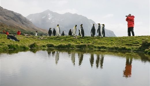Südgeorgien