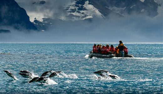 Pinguine und schneebedeckte Berge Antarktis