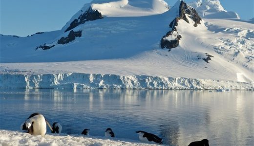 Pinguine vor schneebedeckten Bergen Antarktis