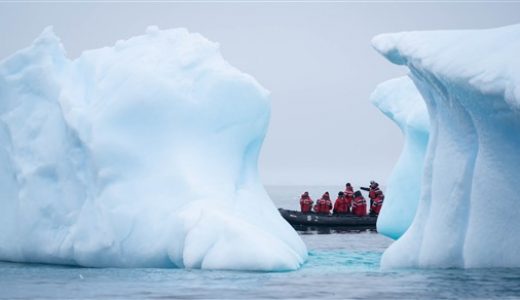 Kayak durch Eisberge Antarktis