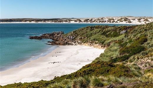 Stanley_Falklands_Malvinas_Pia_Harboure
