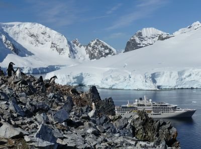 Pinguine vor Kulisse der Antarktis und der Silver Endeavour